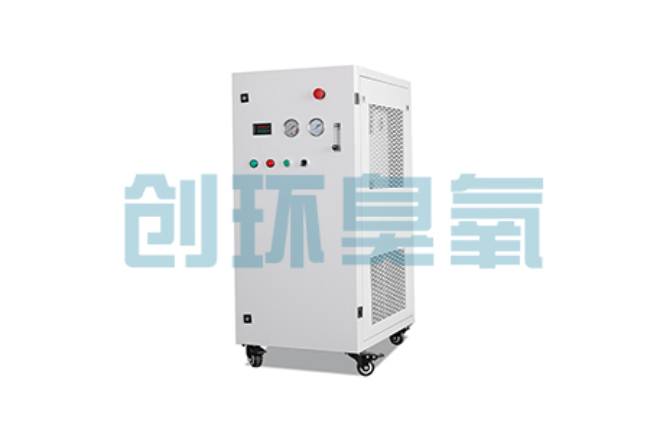 密云比传统换水更高效?臭氧发生器在石斑鱼养殖中的水质净化原理解析